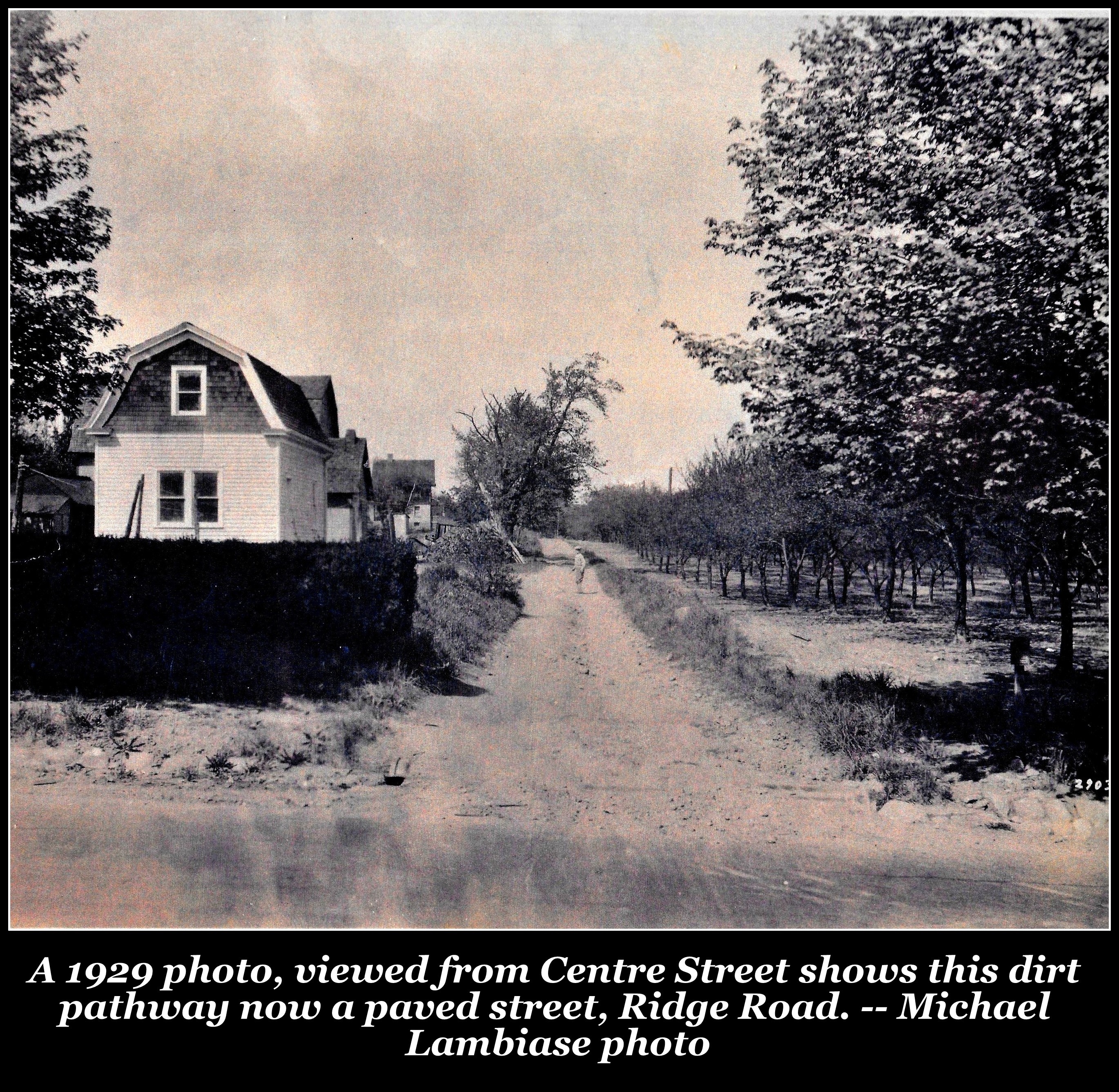 Lambiase Farm, Nutley NJ, Michael Lambiase photo