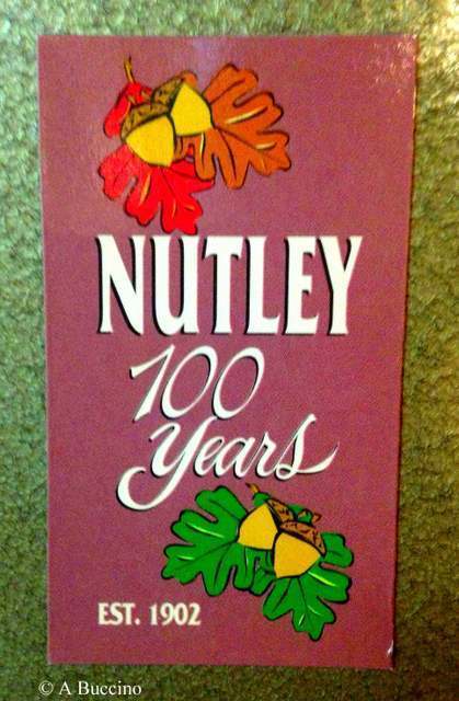 Nutley, NJ, 100 years, Est. 1902 - by Anthony Buccino