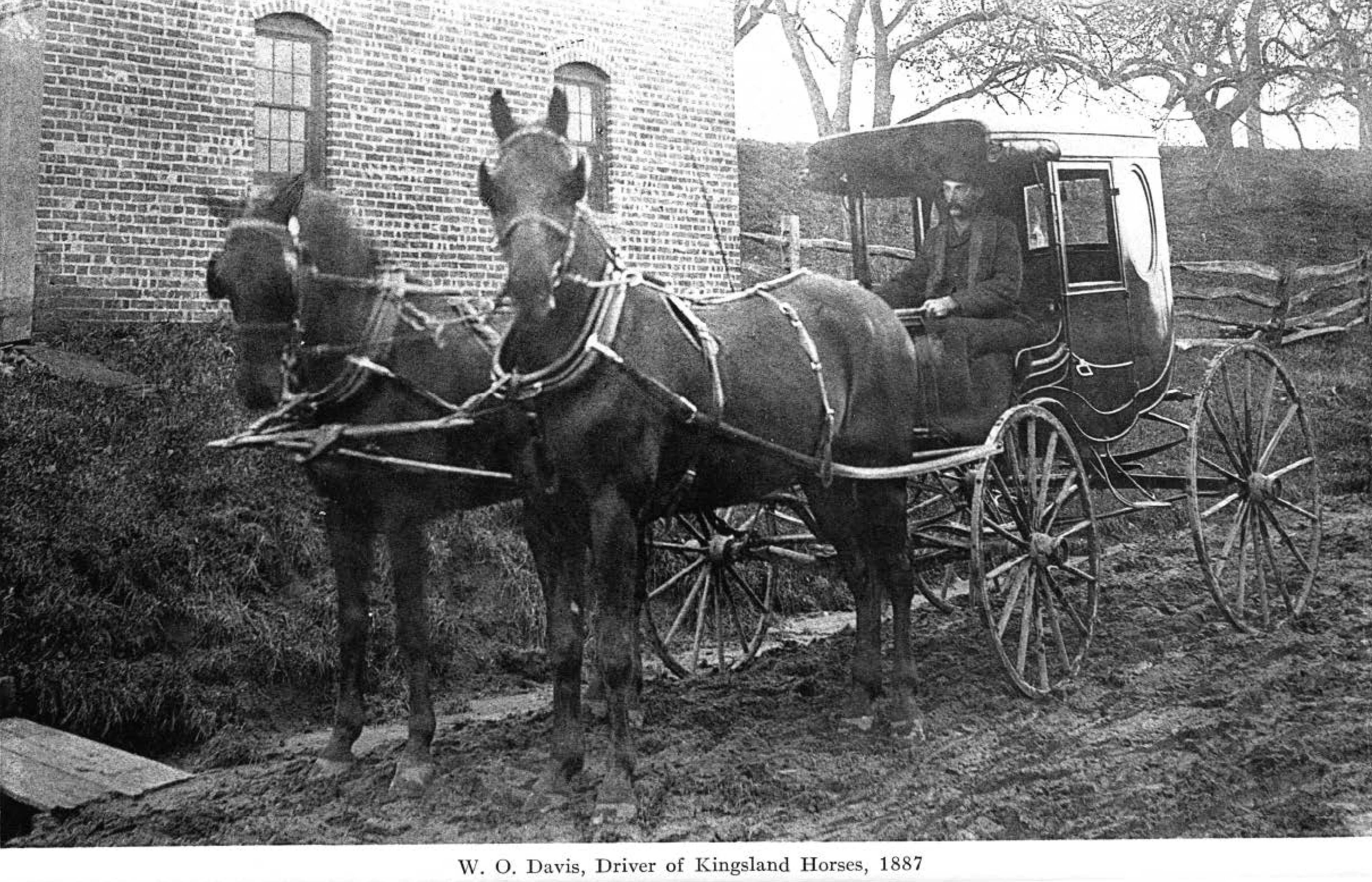 W. O. Davis, Driver of Kingsland Horses, 1887