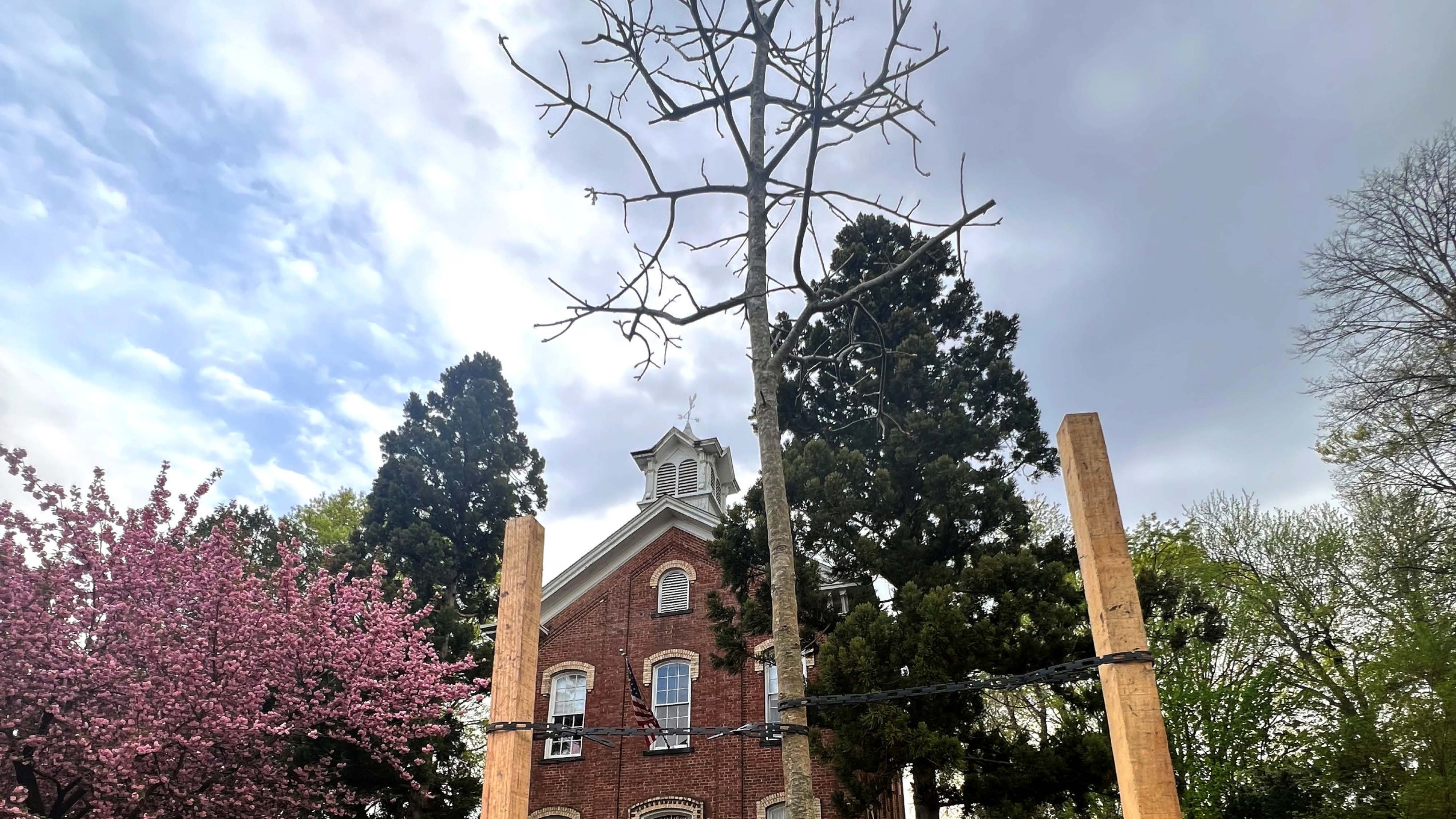 Annie Oakley Tree Dedication 2025