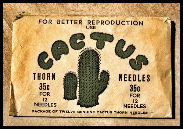 Cactus Thorn Needles