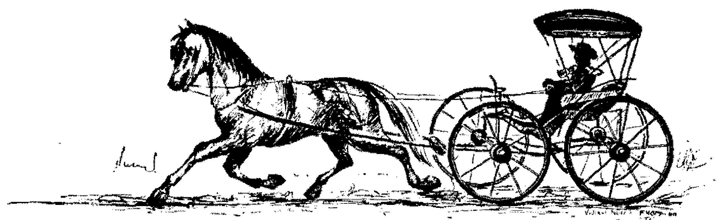 Illustration of a Horse and Buggy from the late 1800s